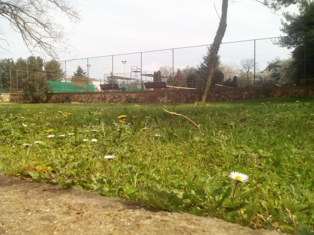 House Monika Daire Poreč Dış mekan fotoğraf