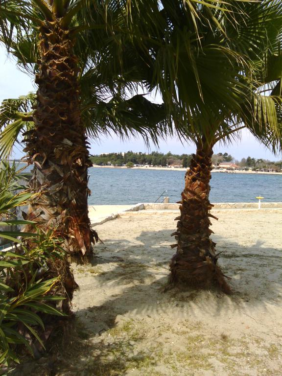 House Monika Daire Poreč Dış mekan fotoğraf