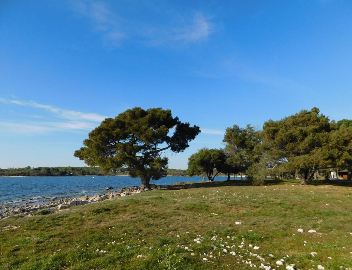 House Monika Daire Poreč Dış mekan fotoğraf